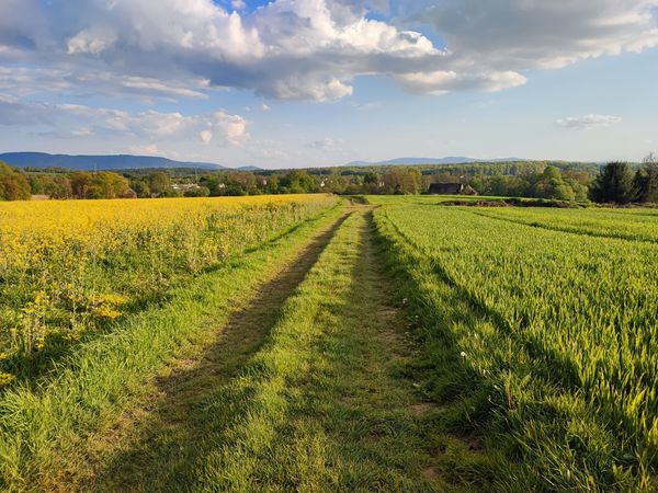 Cycling path?