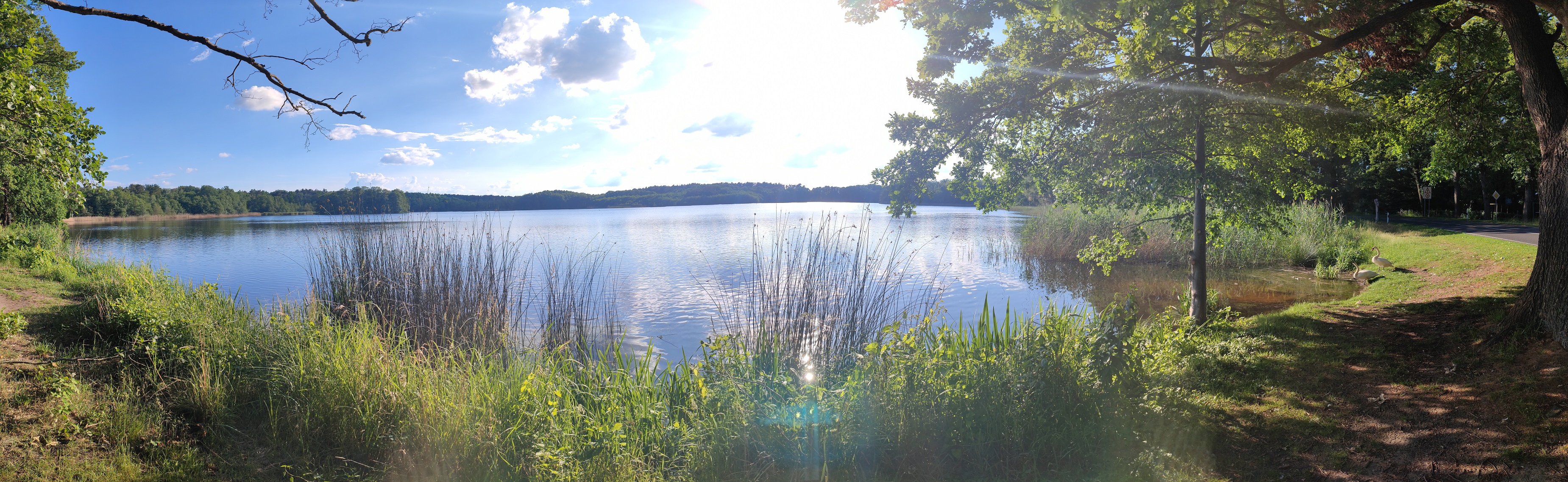 View next to the camp